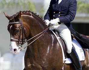 Cesar Parra and Agastrofos at the 2011 Dressage at Equestrian Estates Show :: Photo © Sue Stickle