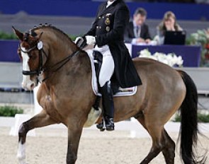 Johan Zagers on the Danish warmblood Question de Liberté (by Quidam de Revel). The horse improved much in the trot work, but the piaffes were still a bit small and Zagers lost the passage on the final centerline.