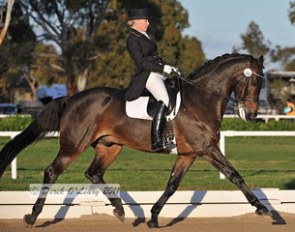 Chantal Wigan and Ferero at the 2011 CDI-W Melbourne :: Photo © Derek O'Leary