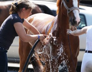 After his ride Tim got a bath