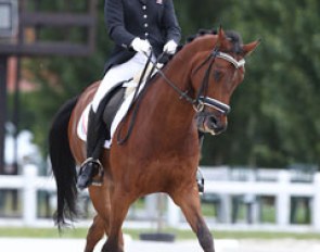 Nanette Boeree on Beukenhofs Ricardo