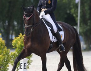 Eline de Coninck on Don Warohn