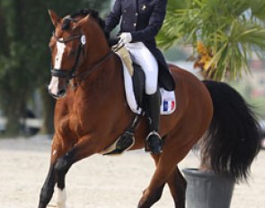 Caroline Osmont on Don Quichot