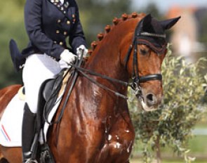 Romy Peijen and Rex at the 2011 CDIO-YR Moorsele :: Photo © Astrid Appels