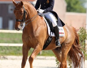 Belgian Chloe Vicini on the Danish warmblood Rozdimont Soneca