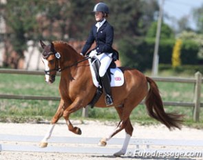 Aimee Witkin on Ferrari