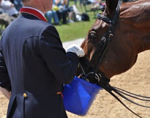 Super hot temperatures at the CDI Munich. Davison gives Artemis a drink