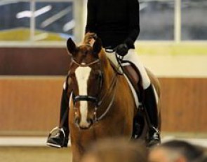 Anabel Balkenhol and Dablino get ready for their demonstration