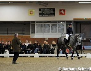 Klaus Balkenhol working with the Espri offspring; the crowd watches and learns