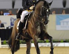 Sophie Holkenbrink moved up the ranks from junior to the young riders division, but is still aboard the same horse: the licensed stallion Show Star (by Sandro Hit)