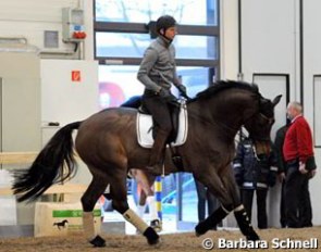 Patrik Kittel was one of only two FEI riders who wear a helmet in the warm up. Kittel is schooling his wife's Toy Story (by Come Back II)