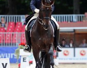 Christoph Koschel is taking his time slowly nurturing the overtrained Franziskus to regained confidence and potential in the Grand Prix show ring