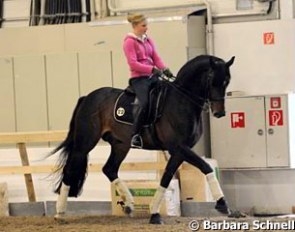 Bianca Nowag, who doesn't have a Junior horse of her own yet, has been given the ride on Steffi Krause's 10-year old Rumicello