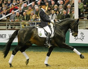 Trakehner Society President Petra Wilm on Elfado (by Kostolany x Roncalli xx)