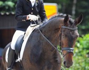 Jessica Süss and 4-year old Tarantino won the Riding Horse Test with an 8.5 score