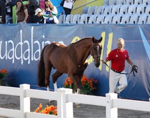 Tom Dvorak and Viva's Salieri at the 2011 Pan Am Games' vet inspection