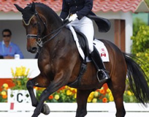 Tina Irwin and Winston at the 2011 Pan American Games :: Photo © Cealy Tetley