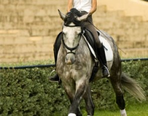 Sarah Warne on her Lusitano Batialo