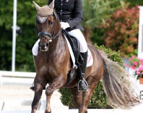 Rachell Fokker on 2010 Dutch team pony Majos Cannon (by Marchi)