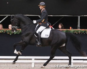 Edward Gal and Jack Sparrow at the 2011 KWPN Stallion Competition in Roosendaal :: Photo © Astrid Appels