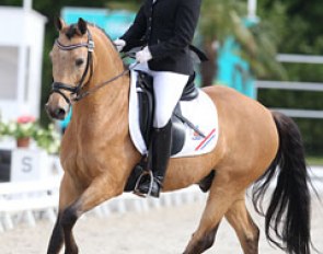 Sanne Gilbers on her second pony Geronimo B, who was previously competed by Belgian Loranne Livens