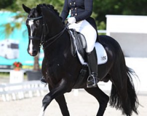 Swiss young rider Dominique Tardin and Danzas