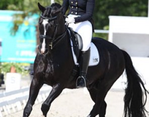 Swiss young rider Dominique Tardin on Danzas :: Photo © Astrid Appels