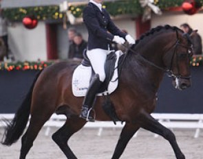 Kim van de Velden on the ponyesque but very obedient Adamo M (by Sandreo x Pion)