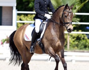 Sanne Vos on Champ of Class :: Photo © Astrid Appels