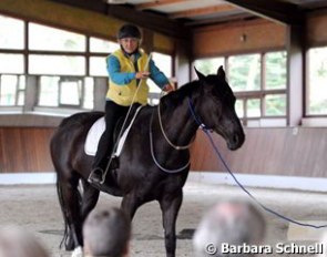 even when the horse has just a neck collar on