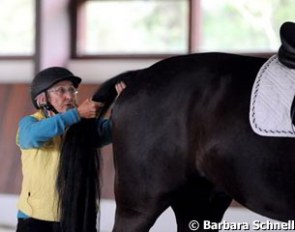 Linda checking the mobility in the spine and back by moving the tail