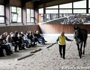 Linda Tellington-Jones walking Heartbreaker and letting him get acquainted with the audience