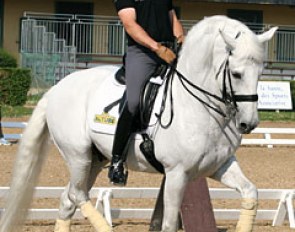 Claudio Castilla Ruiz on Jade de Mv