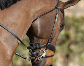 An interesting bit to see on a Grand Prix horse in the dressage warm up ring