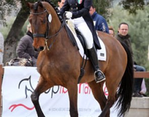 Anna Paprocka Campanella on Westwind