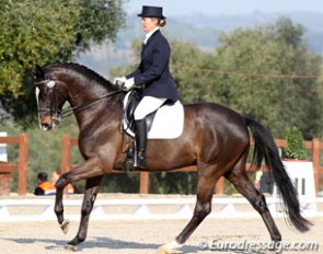 British Jane Marks and her Trakehner Glen Willow (by Hofrat) at the 2011 Sunshine Tour :: Photo © Astrid Appels