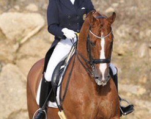 Mafalda Galiza Mendes on D'Artagnan