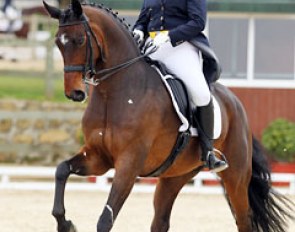 Marta Pena Montaner and the talented Oldenburg bred Arena (by De Niro)