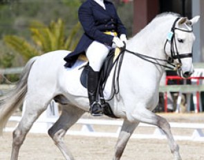 Spanish Young Rider Marta Pena Montaner rode Oteo in the Prix St Georges. The Andalusian was previously trained and competed by Nicole Uphoff