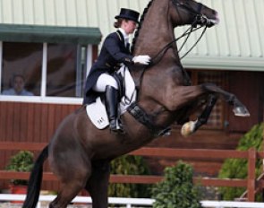 The spooky Vancouver K (by Jazz) proved to be a handful in the Prix St Georges at the 2011 CDI Vejer de la Frontera. Vancouver is now a mid seventy percentage scoring Grand Prix horse :: Photo © Astrid Appels