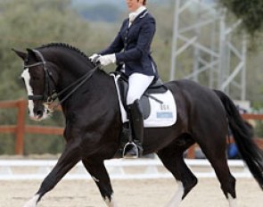 Angelique Vroom-Grooteboer on the 9-year old Dutch warmblood stallion Ventoux (by Ferro)
