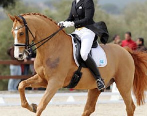 Sylvia Zimmer on Asja Hüsing's Westfalian gelding Priboy (by Pit I)