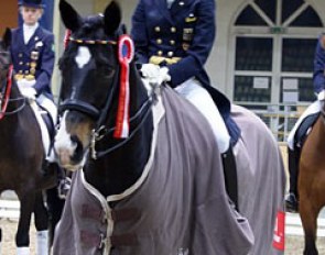 Louisa Luttgen and Habitus win the young riders' team test at the 2011 CDI Stadl Paura