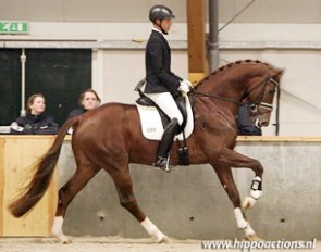 Hans Peter Minderhoud on Vitalis :: Photo © Hippoactions.nl