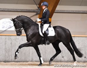 Emmelie Scholtens on KWPN performance test winner Desperado :: Photo © www.defotografe.com