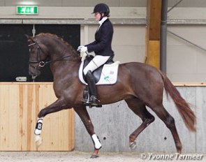 Emmelie Scholtens and Dude at the KWPN stallion under saddle presentation :: Photo © Yvonne Termeer