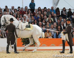 Preparations for a levade