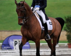 Fiona McNaught on the 15-year old KWPN gelding Ostra (by Indoctro x Aktion) :: Photo © Franz Venhaus