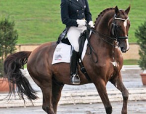 Rachael Sanna and Jaybee Alabaster at the 2011 CDI Sydney :: Photo © Franz Venhaus