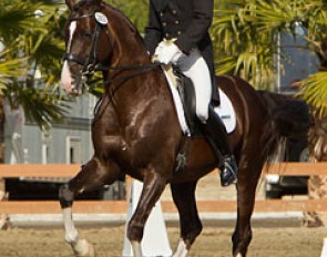 David Blake on Falsterbo